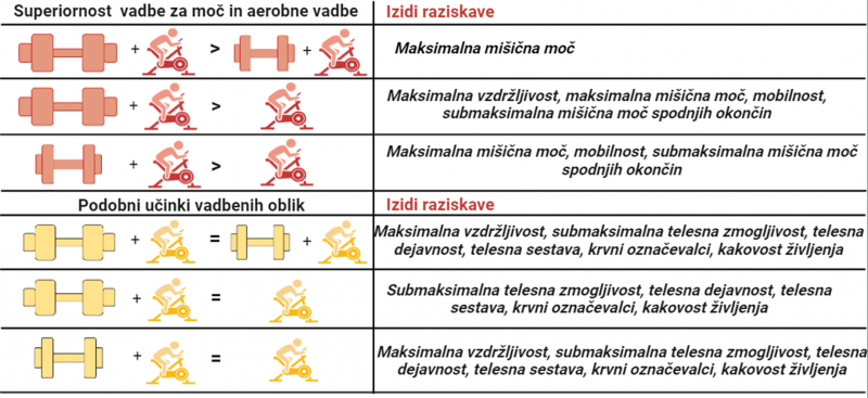 doktorks naloga-Kambic