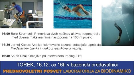 Plakat Prednovoletni posvet Laboratorija za biodinamiko2014.jpg